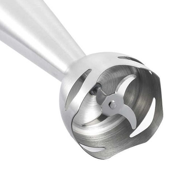 RAF Hand Blender - 1600 W. - R.282